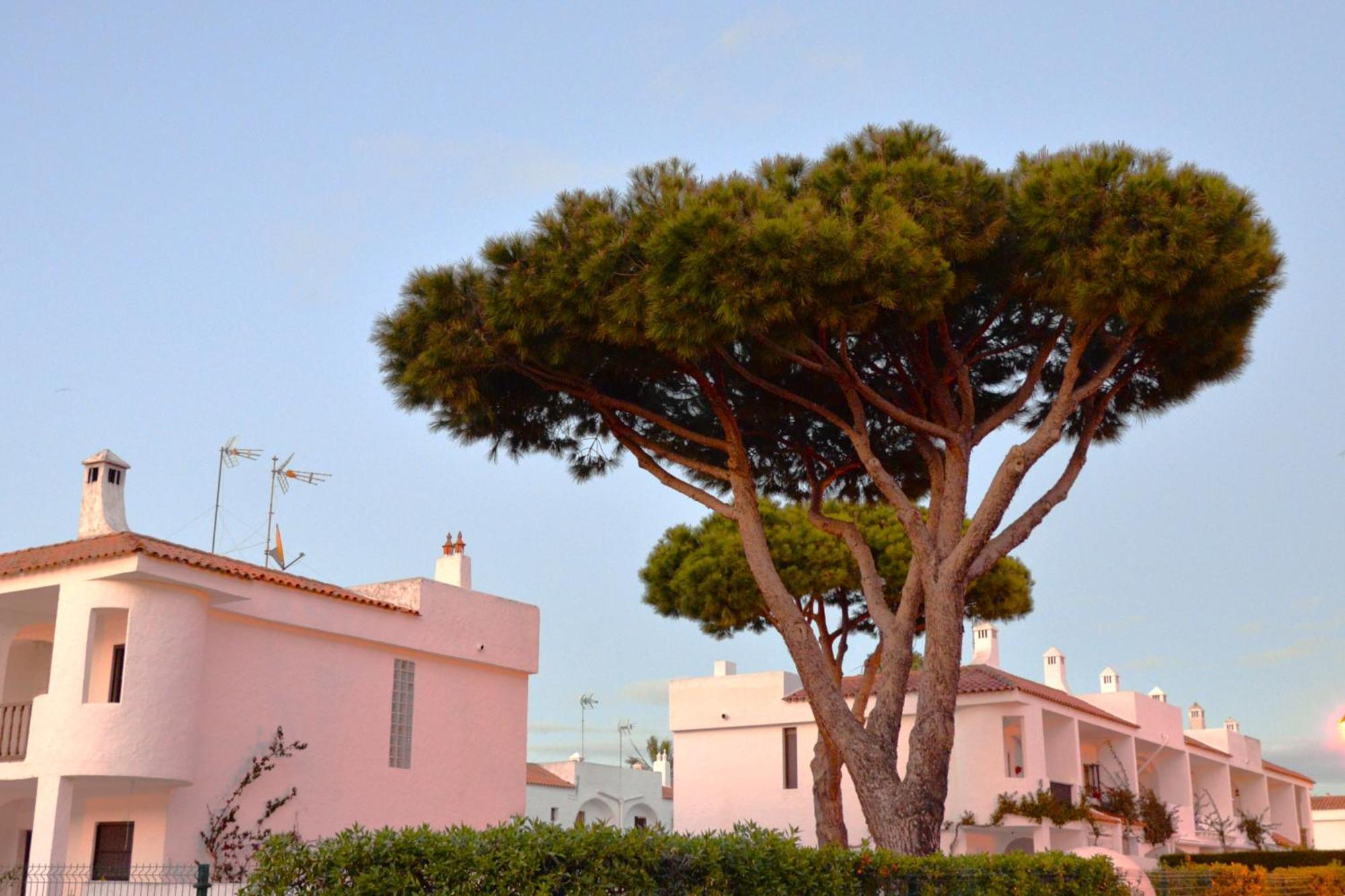 Vila Casa Lea Islantilla Exteriér fotografie