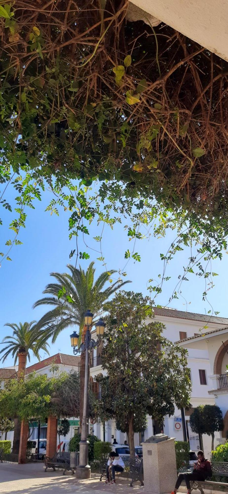 Vila Casa Lea Islantilla Exteriér fotografie